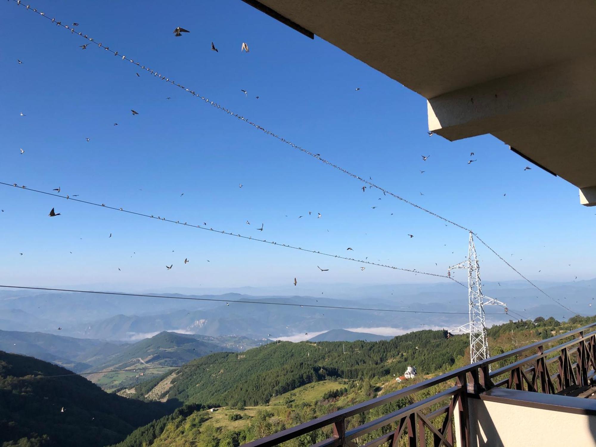 Milmari M12 Appartement Kopaonik Buitenkant foto