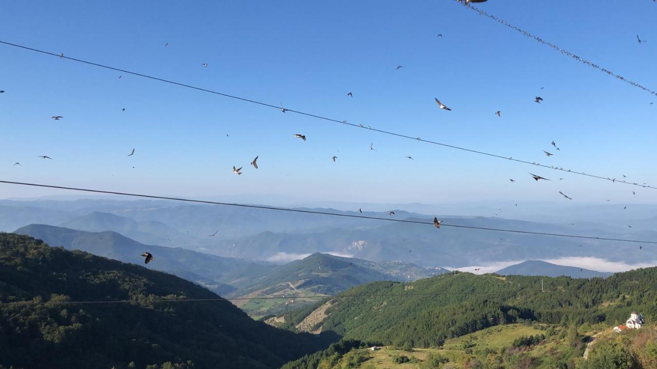 Milmari M12 Appartement Kopaonik Buitenkant foto