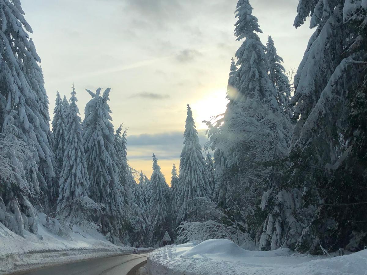 Milmari M12 Appartement Kopaonik Buitenkant foto